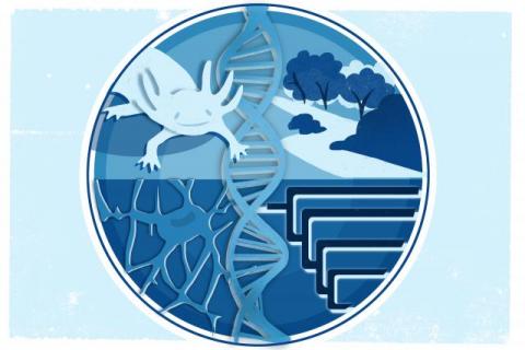 biological logo