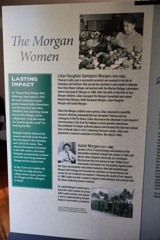 A picture of a printed poster with writing titled "The Morgan Women".
