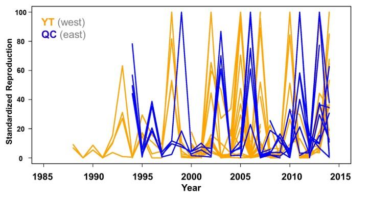A photo of a masting dipole graph.