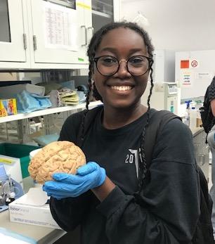 S-STEM scholar holding a brain