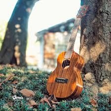 Gleeson Ukulele